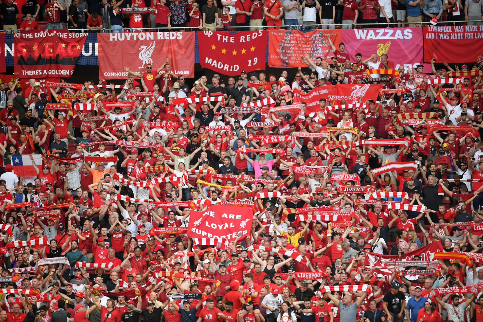 米体：布雷默即将伤愈，预计12月中旬客战博洛尼亚时复出