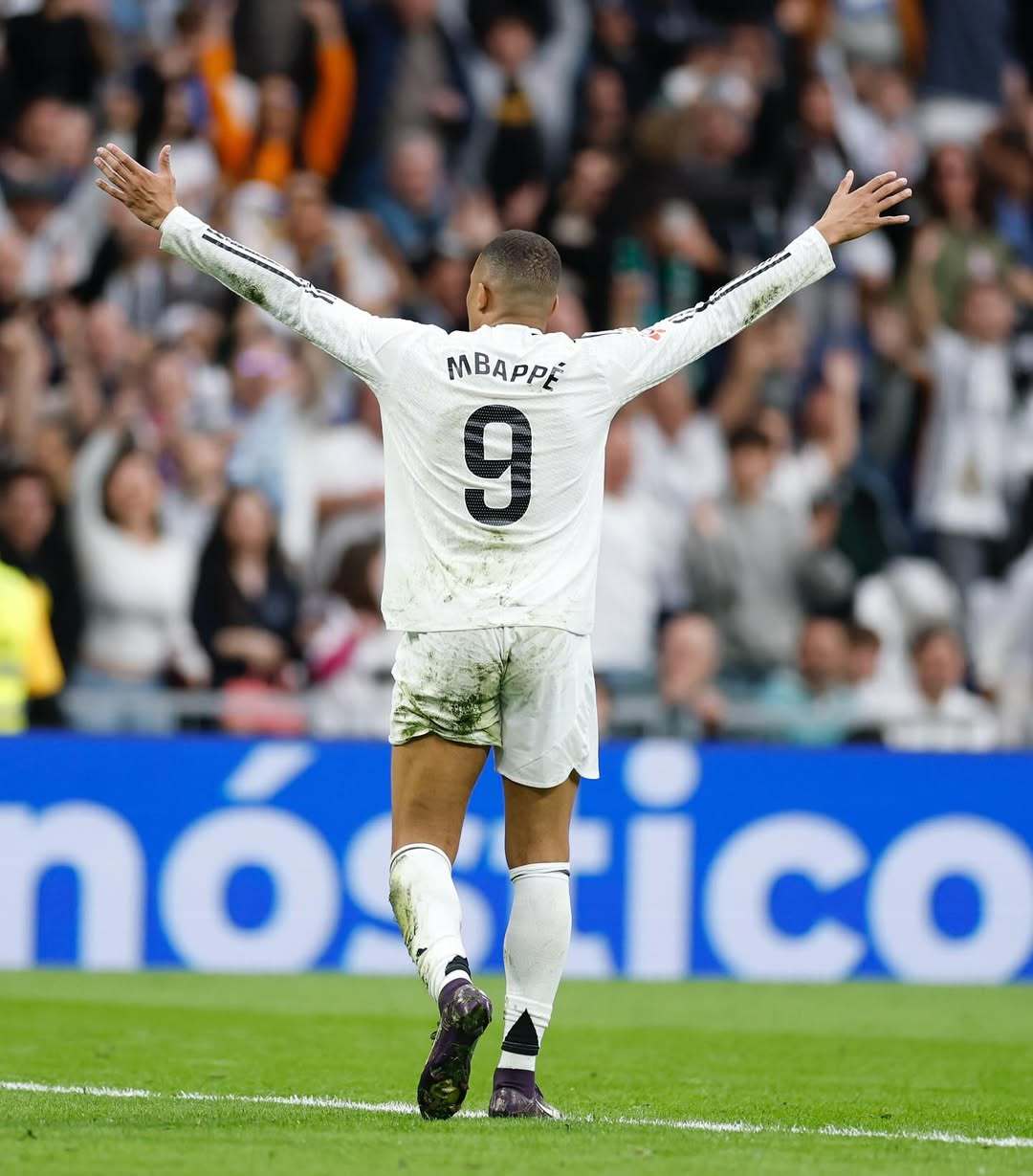 意杯半场：贝内德扎克、罗破门，博洛尼亚1-1帕尔马